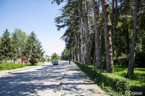 За лесом санаторий