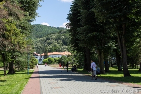 Все утопает в зелени