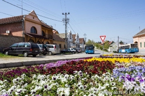 Город в цветах