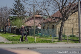 Сербский пенсионер