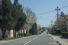 Улица Виноградарска