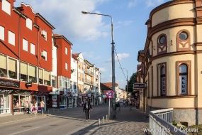 Город Лозница