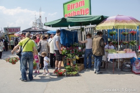 Для дома, для сада